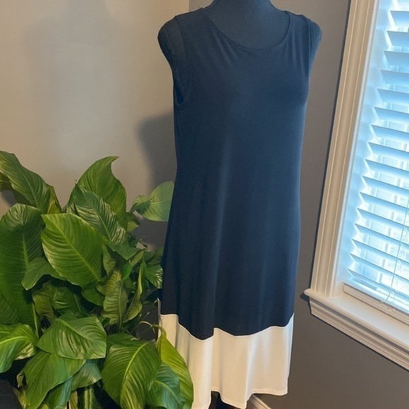 🤍🖤”ANNALEE + HOPE” Color Block Dress - Picture 3 of 5